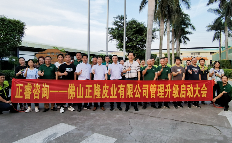 助力皮革行業(yè)再樹標(biāo)桿——正隆皮業(yè)全面管理升級(jí)項(xiàng)目啟動(dòng)！
