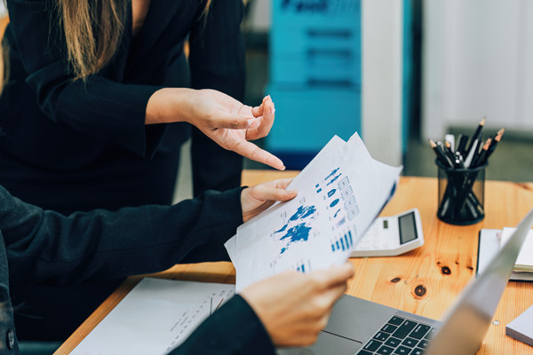 企業(yè)預(yù)算管理：打造財(cái)務(wù)穩(wěn)健，引領(lǐng)企業(yè)騰飛新篇章