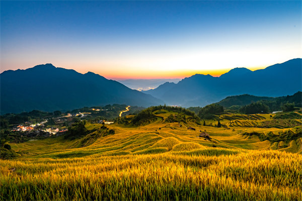 定制化管理咨詢方案：麗水企業(yè)轉(zhuǎn)型升級的鑰匙？