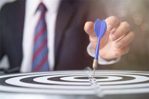 如何構建高效的集團管控體系，驅動企業(yè)穩(wěn)健前行？