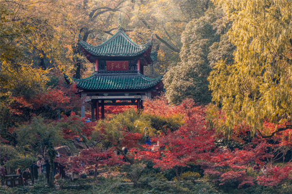 長(zhǎng)沙薪酬咨詢(xún)公司如何設(shè)計(jì)合理的薪酬結(jié)構(gòu)與體系？