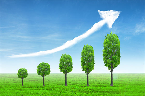 植樹就是植未來，對企業(yè)的戰(zhàn)略規(guī)劃有哪些啟示？