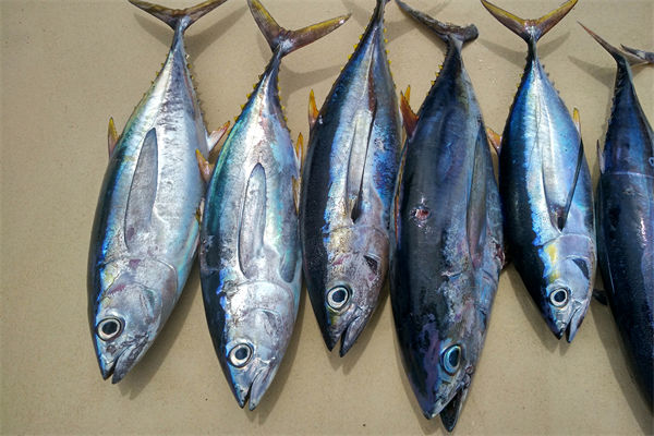 商務(wù)部：將幫助外貿(mào)企業(yè)擴(kuò)寬內(nèi)銷渠道，政策解讀！