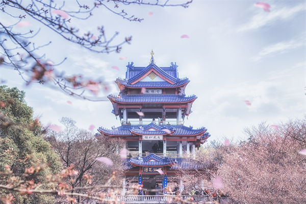 供應(yīng)鏈成本居高不下，無錫供應(yīng)鏈咨詢公司如何精準(zhǔn)砍出利潤空間？