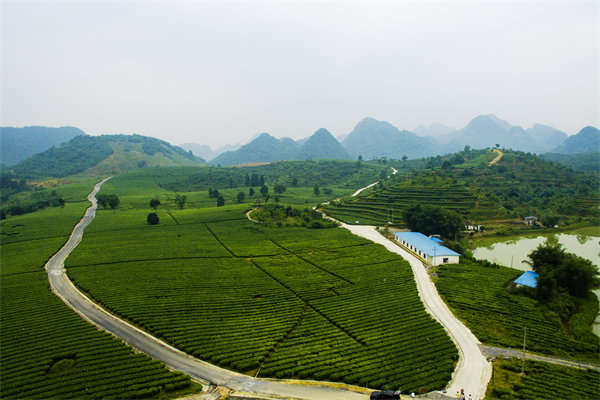 清遠(yuǎn)營(yíng)銷咨詢公司深挖需求，如何為品牌打造直擊消費(fèi)痛點(diǎn)的賣點(diǎn)？