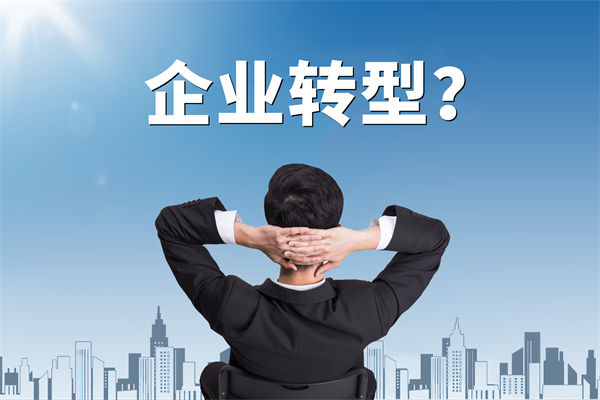 企業(yè)轉(zhuǎn)型無方向，數(shù)智化咨詢公司能否指引明路？