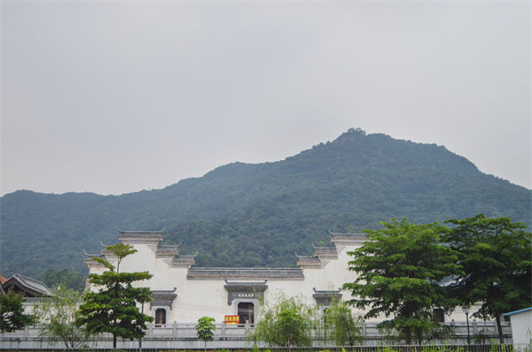 子公司各自為戰(zhàn)內(nèi)耗大，佛山集團管控咨詢公司有何整合之道？