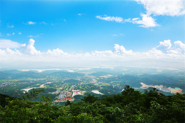 企業(yè)戰(zhàn)略飄在半空落地難，惠州戰(zhàn)略咨詢(xún)公司能錨定方向嗎？